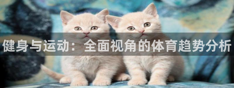 MK体育官方正版app娱乐下载：健身与运动：全面视角