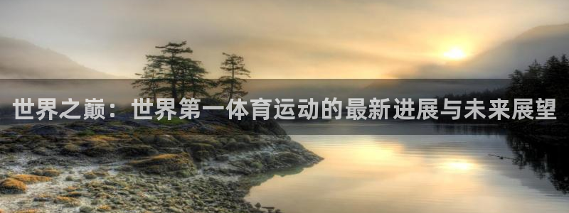 MK体育官网下载：世界之巅：世界第一体育运动的最新进