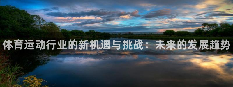 MK体育官方正版app集团logo：体育运动行业的新机遇与挑