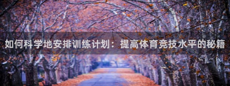 MK体育官网下载平台：如何科学地安排训练计划：提高体