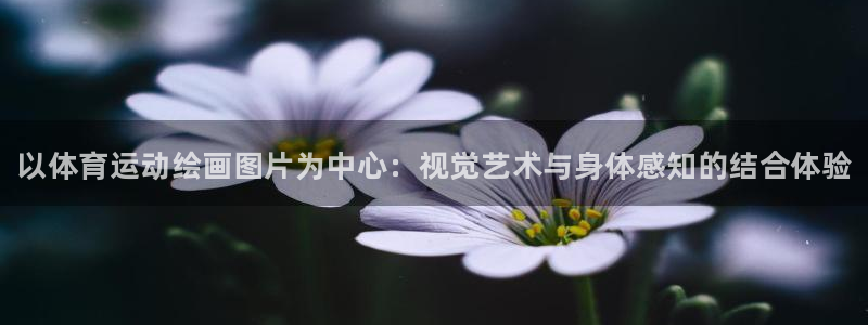 MK体育官方正版app代理：以体育运动绘画图片为中心：视觉艺