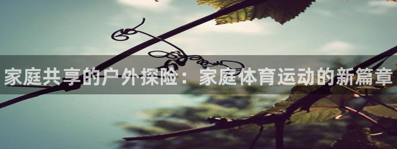 MK体育官方正版app开户：家庭共享的户外探险：家庭