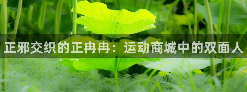 MK体育官方正版app集团logo：正邪交织的正冉冉