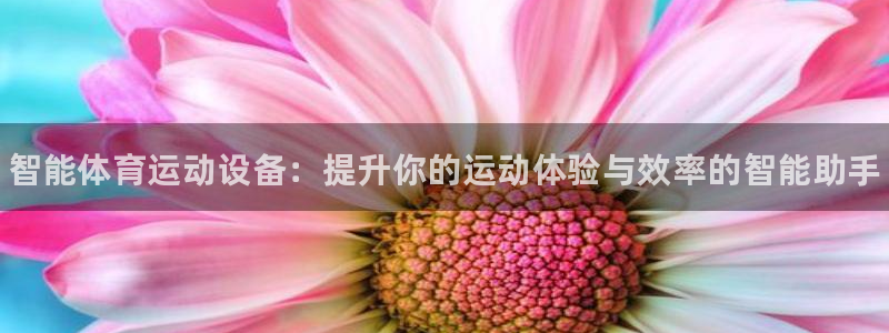 MK体育官网下载招商：智能体育运动设备：提升你的运动