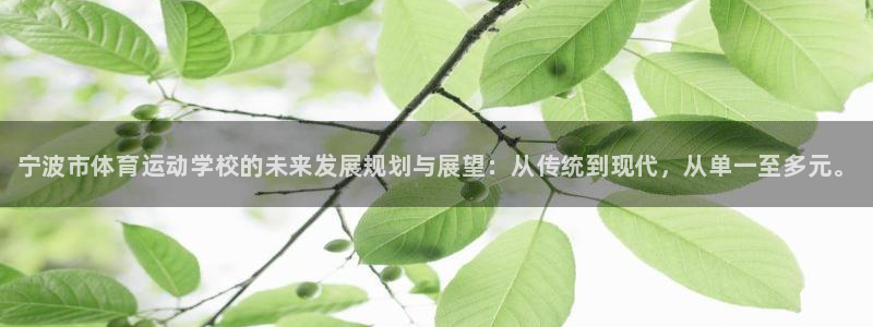MK体育官网下载是干嘛的公司：宁波市体育运动学校的未