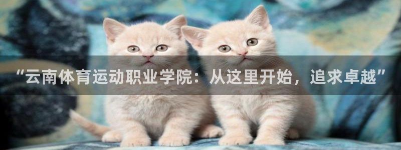 MK体育官网下载平台注册要钱吗安全吗：“云南体育运动