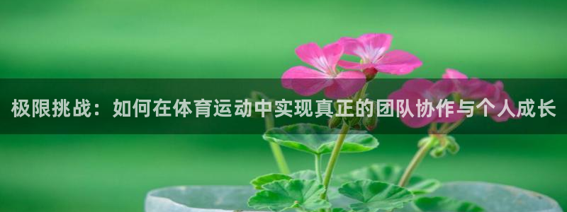 MK体育官方正版app集团官网网址：极限挑战：如何在体育运动