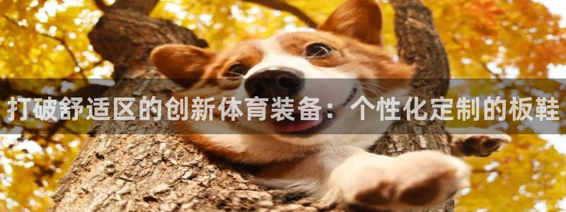 MK体育官网下载招商：打破舒适区的创新体育装备：个性
