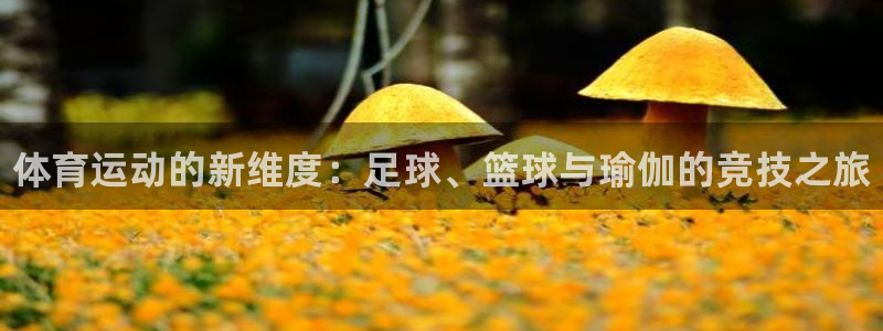 MK体育官方正版app集团：体育运动的新维度：足球、