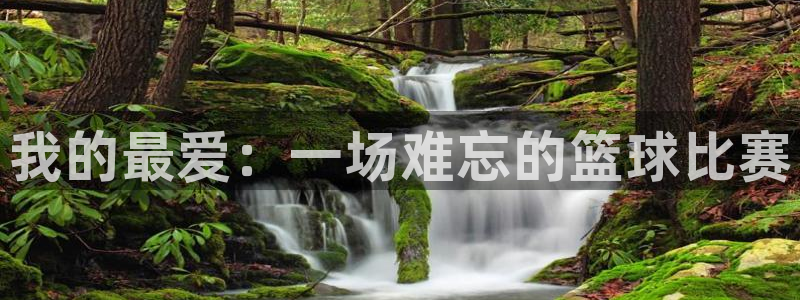 MK体育官网下载招商电话是多少：我的最爱：一场难忘的篮球比赛