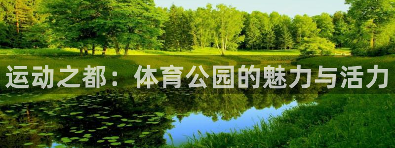MK体育官方正版app集团官网首页