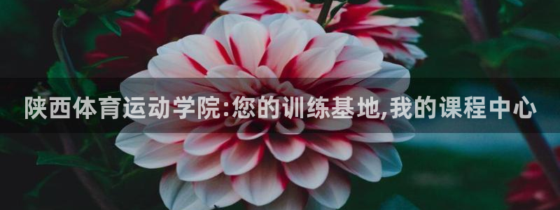 MK体育官网下载招商：陕西体育运动学院:您的训练基地,我的课
