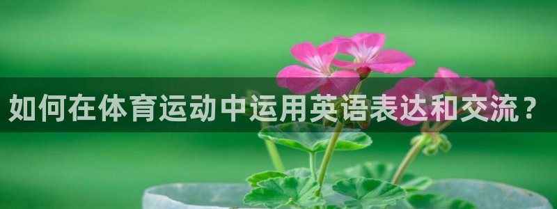 MK体育官方正版app开户：如何在体育运动中运用英语表达和交