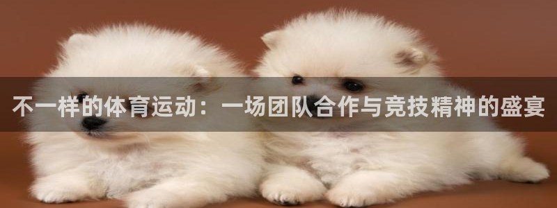 MK体育官方正版app娱乐40996