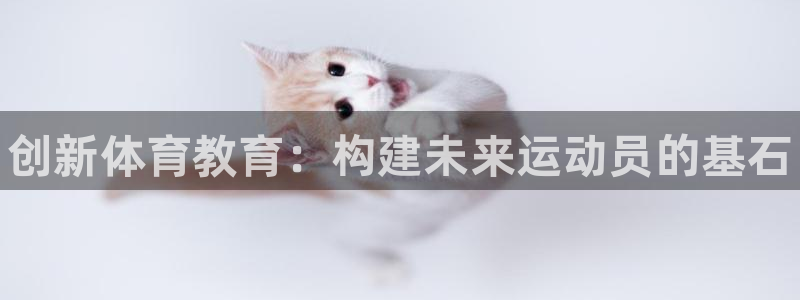 MK体育官方正版app娱乐是那个系列的台子