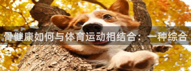 海南MK体育官网下载发展怎么样：骨健康如何与体育运动相结合：
