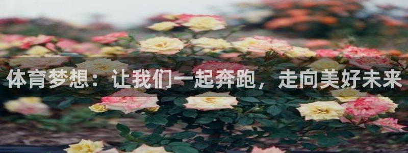 MK体育官网下载平台APP：体育梦想：让我们一起奔跑，走向美