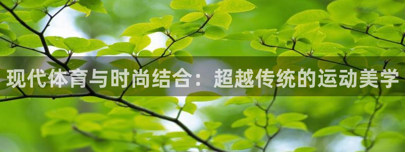 MK体育官方正版app集团简介：现代体育与时尚结合：超越传统