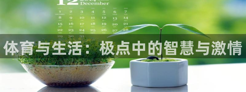 MK体育官网下载招商电话地址：体育与生活：极点中的智