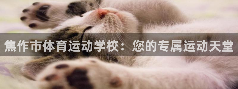 MK体育官网下载招商电话号码查询是多少：焦作市体育运