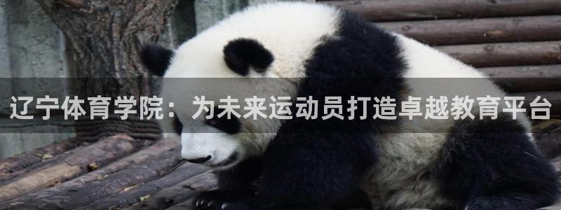 MK体育官方正版app集团E.ON：辽宁体育学院：为