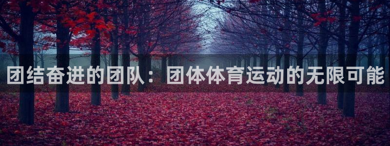 MK体育官方正版app娱乐：团结奋进的团队：团体体育