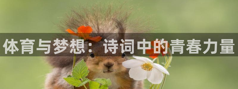 mk体育在线官网入口