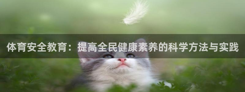 mk体育平台入口手机版安装