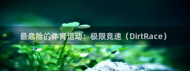 mk体育官网