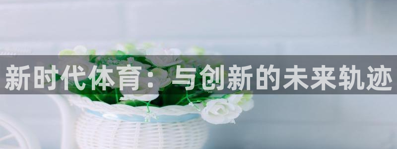 mk体育app官网版最新版本更新内容