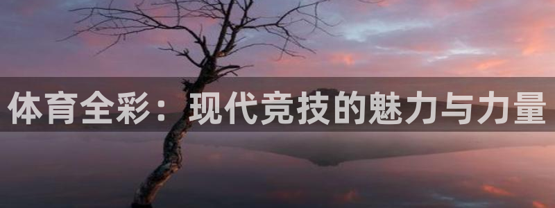 mK体育在线官网：体育全彩：现代竞技