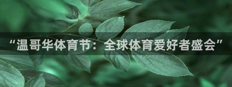 mk体育官网在线入口