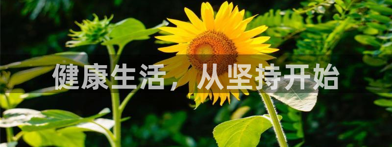  mk体育提现多久到账啊安全吗知乎文章：健康生活，从坚持开始