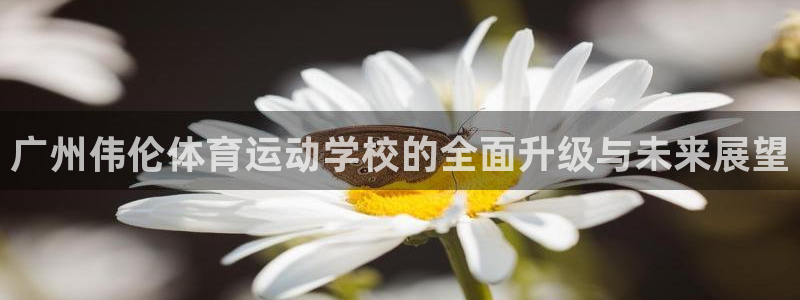 mk体育平台跑路最新消息：广州伟伦体育运动学校的全面升级与未