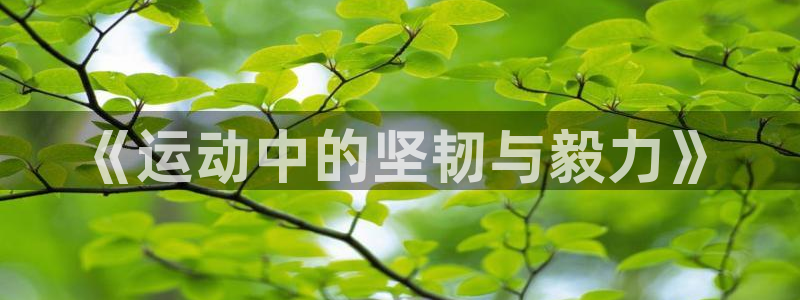  mk体育官网登录入口：《运动中的坚韧与毅力》