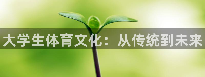 mk体育官网入口：大学生体育文化：从传统到未来