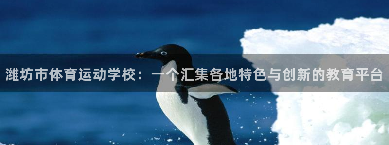 mk体育买的鞋是真的吗：潍坊市体育运