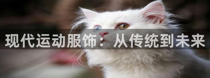 MK体育是哪个旗下的：现代运动服饰：
