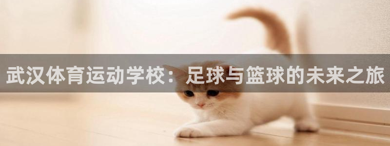 mk体育在线官网：武汉体育运动学校：