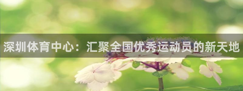 mk体育下载：深圳体育中心：汇聚全国