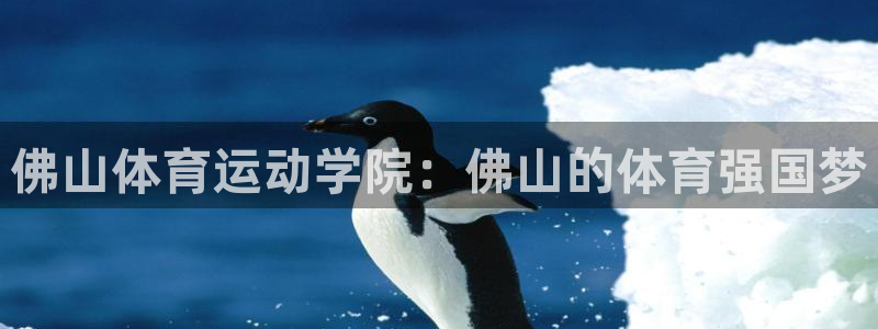 mk体育是正规的吗知乎：佛山体育运动学院：佛山的体育强国梦